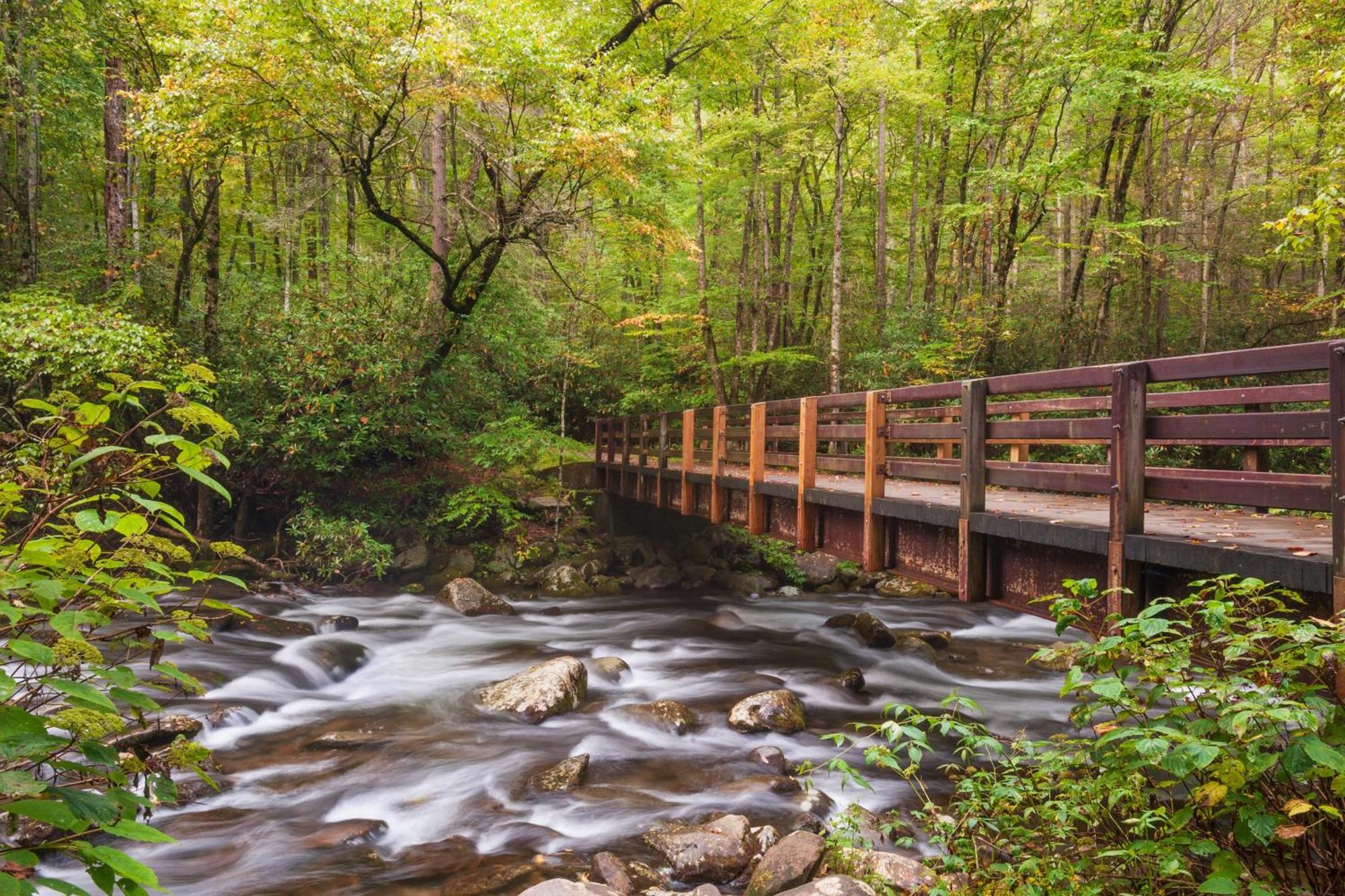 A Happy Cottage- Get 951 Worth Of Free Area Attraction Tickets For Each Paid Day! Pigeon Forge Luaran gambar